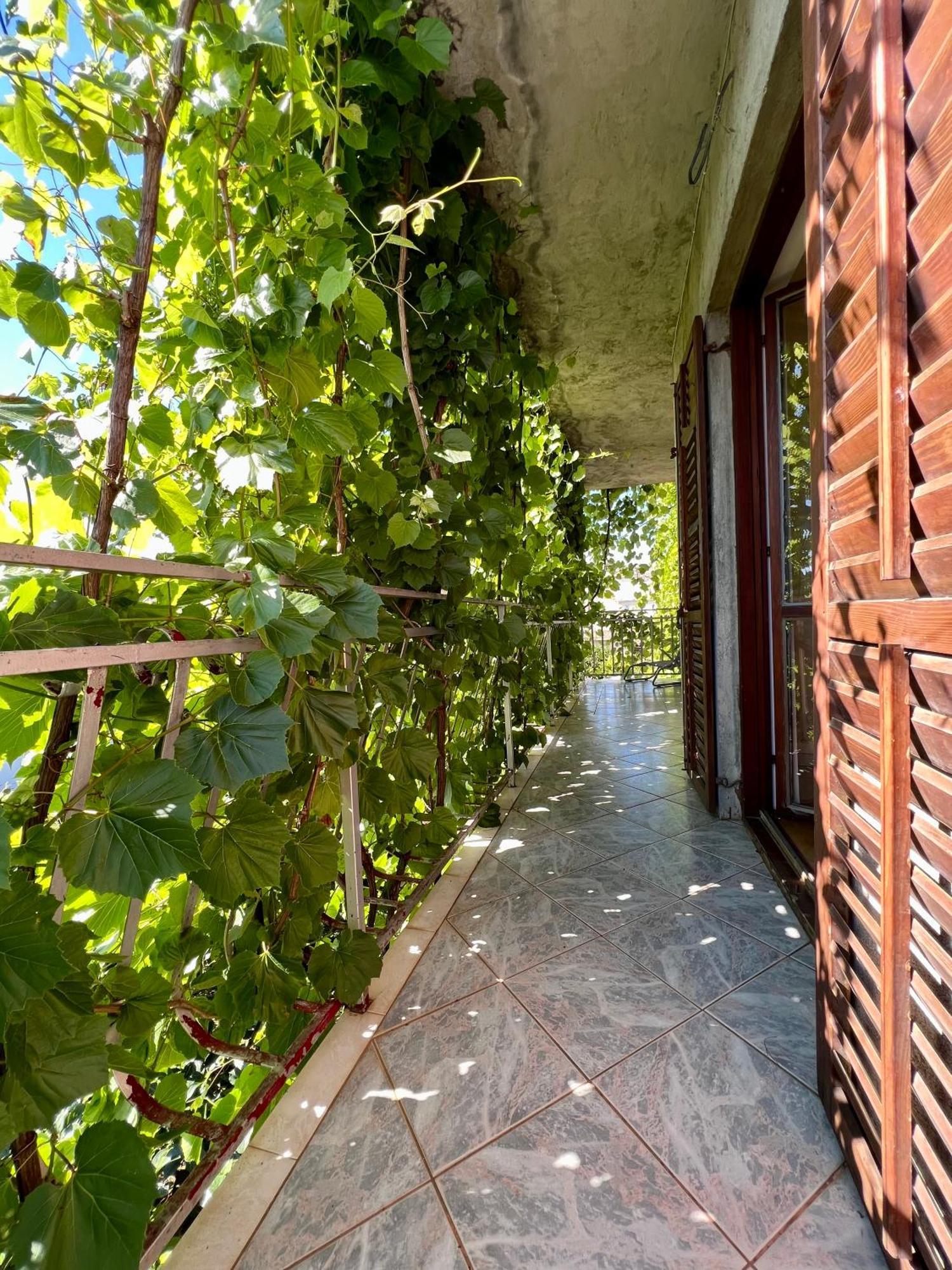 Vodice Center Apartments Room photo